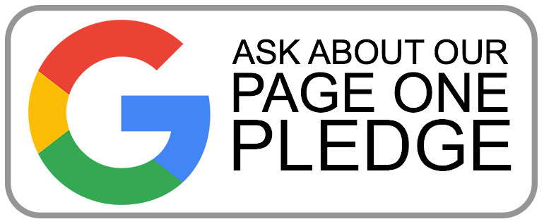 pledge-google